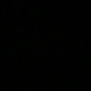 Meet your Posher, Francesca